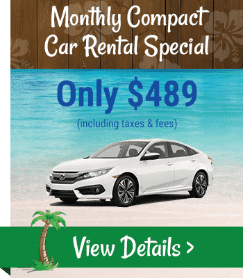 cash car rentals no deposit