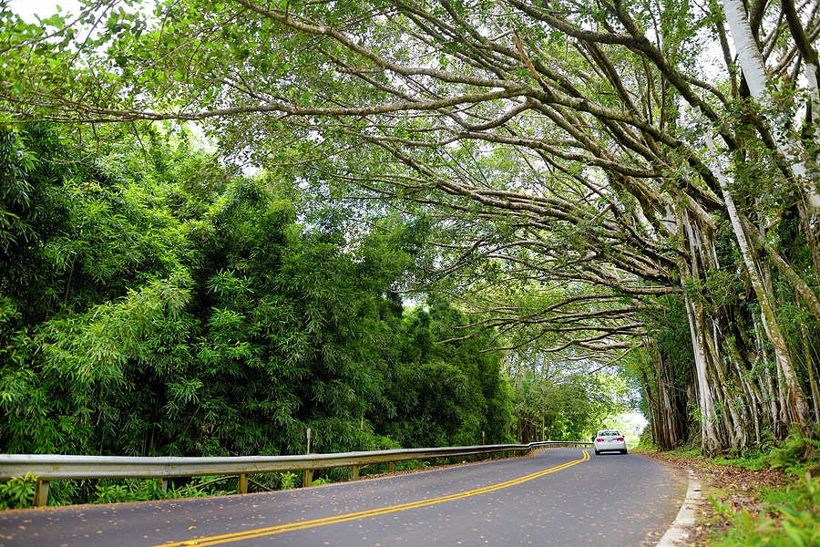 Why You Should Splurge on a Luxury Car Rental for Your Trip to Maui